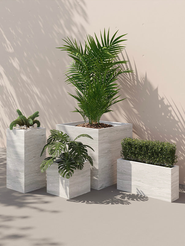 Jungla Teca Designer Porcelain Planters